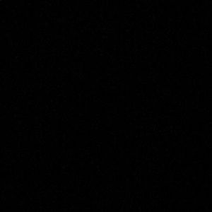 Meet your Posher, Louie